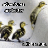 withbackup1.gif